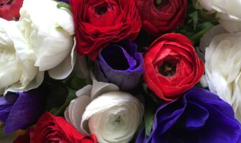 Le bouquet de la liberté