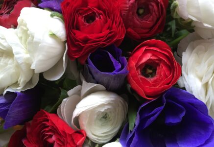 Le bouquet de la liberté