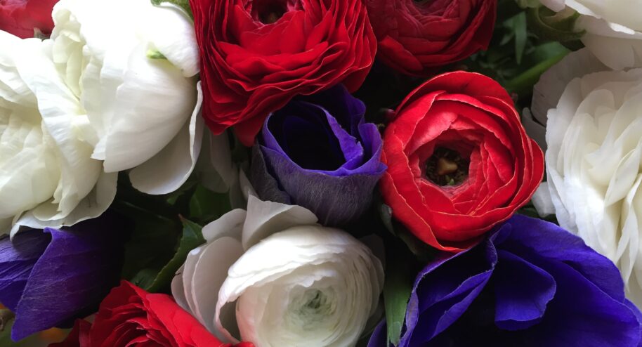 Le bouquet de la liberté