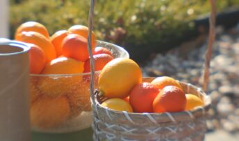 10 conseils naturels contre les tracas gastriques