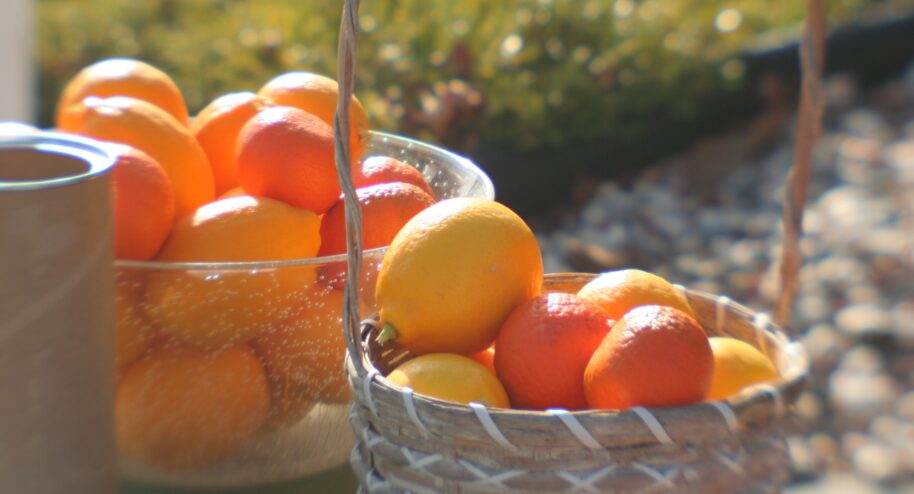 10 conseils naturels contre les tracas gastriques