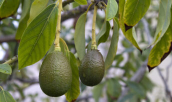 L'avocat, un ami qui vous veut du bien