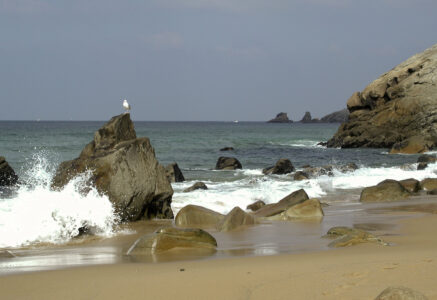 Des plages belles et sauvages