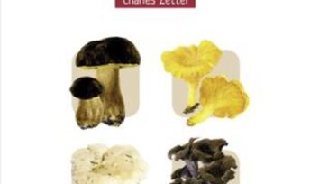 Le petit guide des champignons, de Charles Zettel
