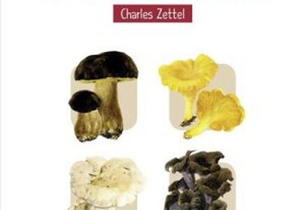 Le petit guide des champignons, de Charles Zettel