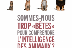 Trop bêtes ?