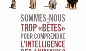 Sommes-nous trop « bêtes » pour comprendre l'intelligence des animaux ? de Frans de Waal