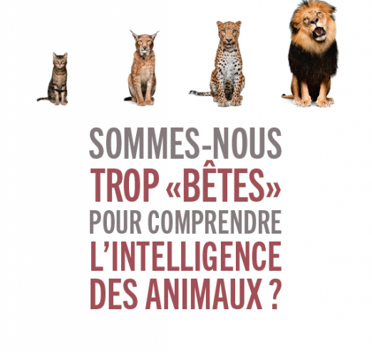 Sommes-nous trop « bêtes » pour comprendre l'intelligence des animaux ? de Frans de Waal
