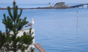 Un balcon sur la mer à Roscoff