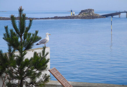 Un balcon sur la mer à Roscoff