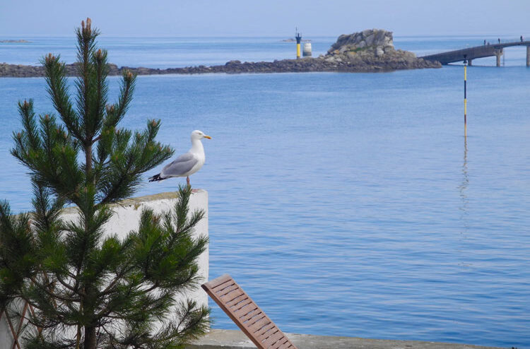 Un balcon sur la mer à Roscoff