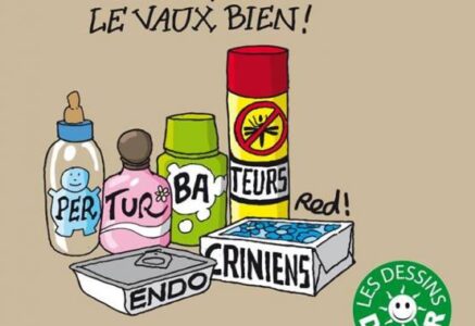Les perturbateurs endocriniens détraquent-ils notre QI ?