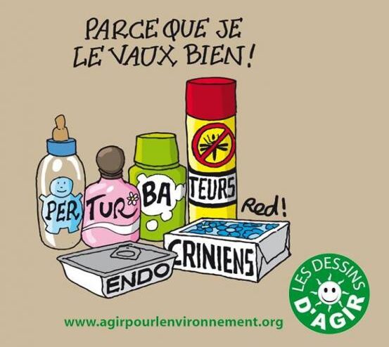 Les perturbateurs endocriniens détraquent-ils notre QI ?