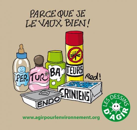 Les perturbateurs endocriniens détraquent-ils notre QI ?