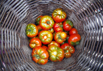 Comment choisir une bonne tomate ?