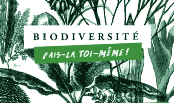 Biodiversité, fais-la toi-même, de Caroline Burzynski-Delloye
