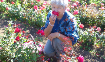 Les confits de fleurs Nect'Art