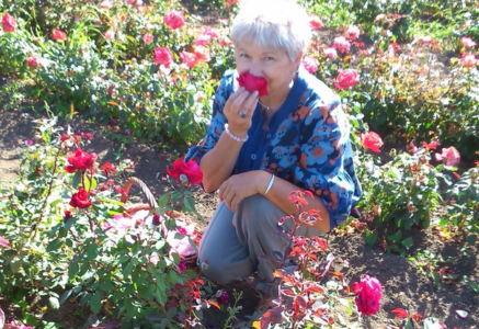 Les confits de fleurs Nect’Art