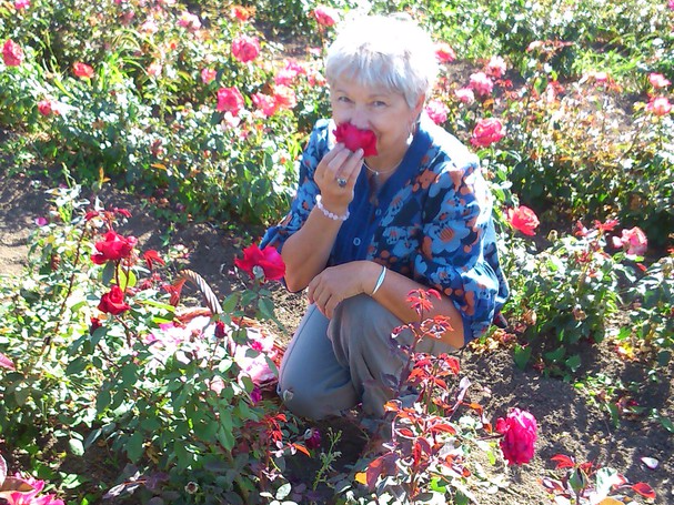 Les confits de fleurs Nect'Art