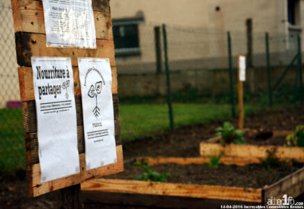 La renaissance des jardins partagés