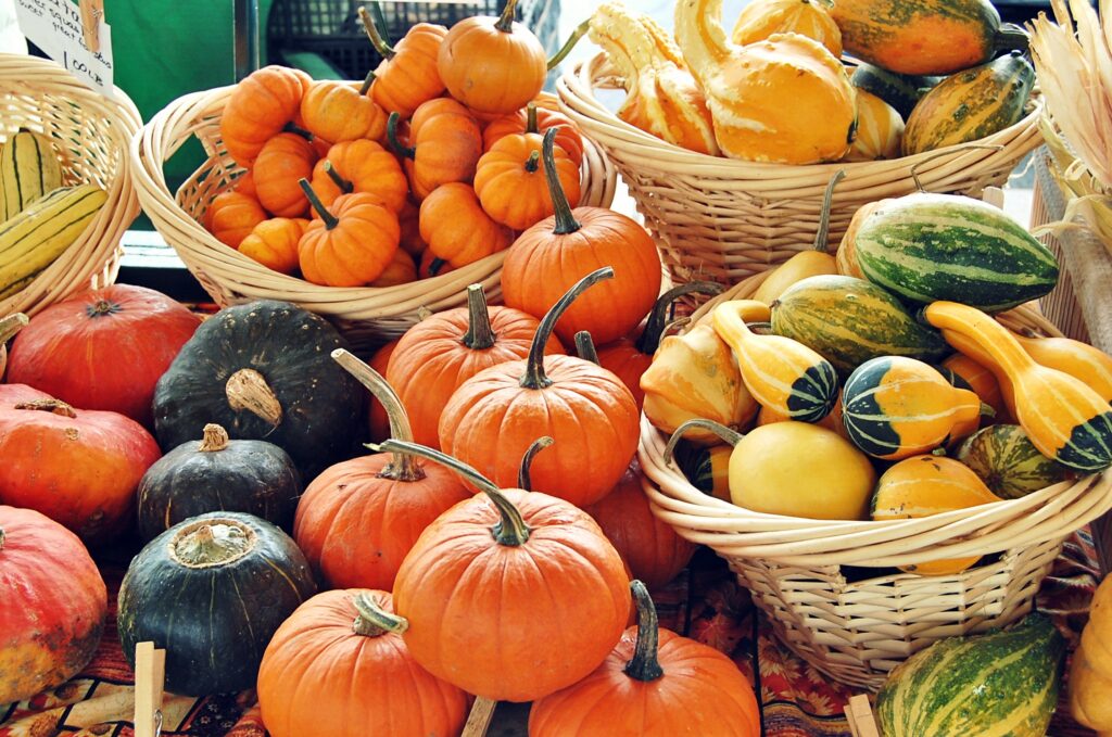 Le marché des courges Crédits allisonmseward12