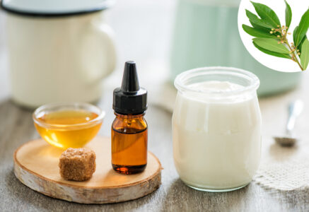 Ravintsara : remède anti-rhume ravigotant et naturel
