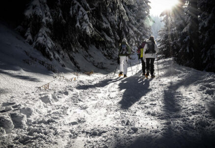 Et si vous partiez en randonnée raquettes cet hiver ?