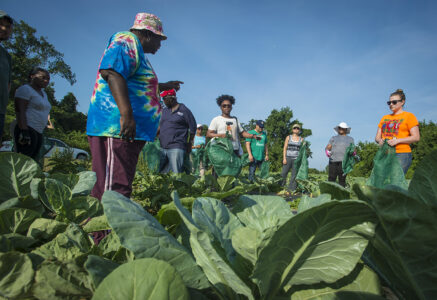 Horizons Solidaires redonne vie au glanage