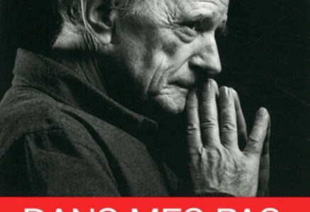 Dans mes pas, de Jean-Louis Etienne
