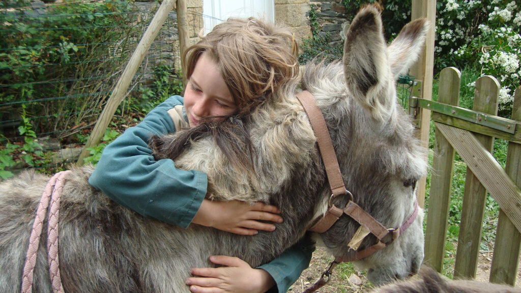 A la Ferme de la forêt, les enfants nourrissent, soignent et câlinent les animaux. © La Ferme de la forêt