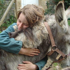 A la Ferme de la forêt, les enfants nourrissent, soignent et câlinent les animaux. © La Ferme de la forêt