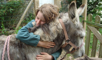 A la Ferme de la forêt, les enfants nourrissent, soignent et câlinent les animaux. © La Ferme de la forêt
