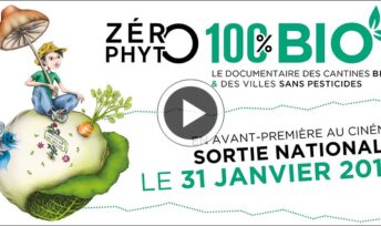 Zero Phyto 100 % bio