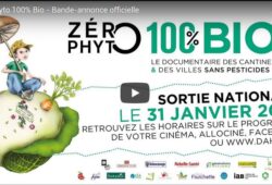 Envie de sortir ?
