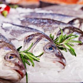 Du bon poisson © DR