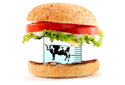 La viande artificielle va-t-elle remplacer notre bidoche ?