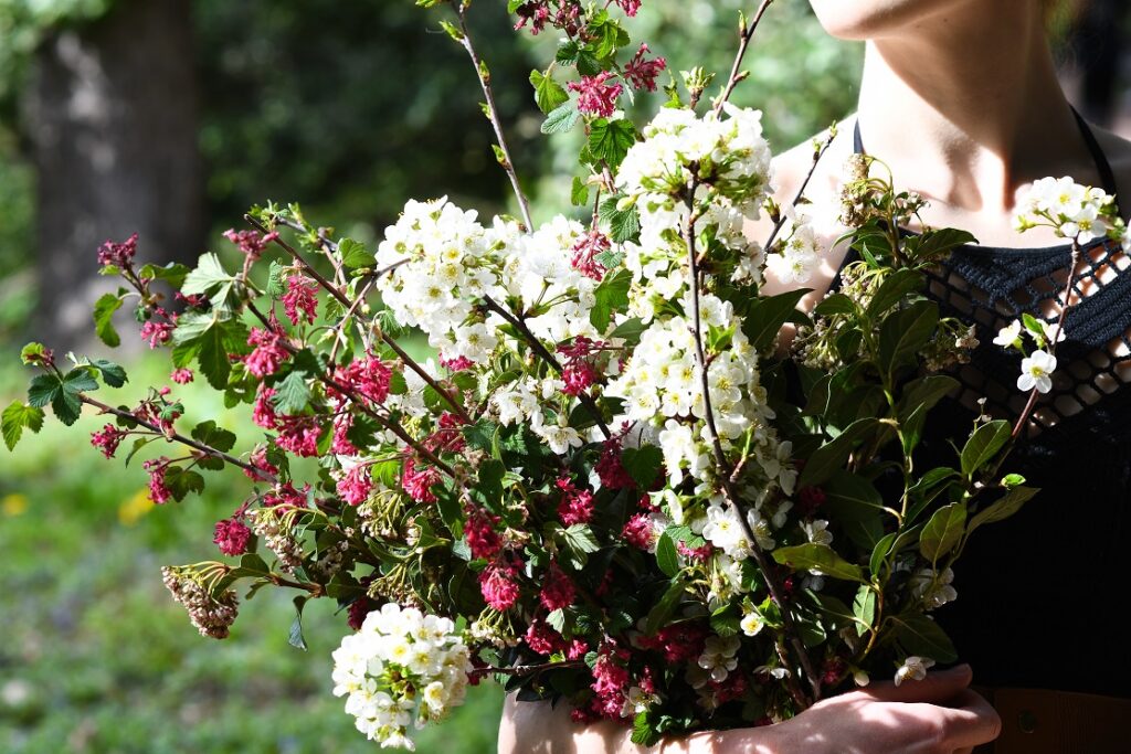 Des branches fleuries, vive le printemps !