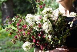 Bouquet de saison
