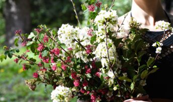 Des branches fleuries, vive le printemps !