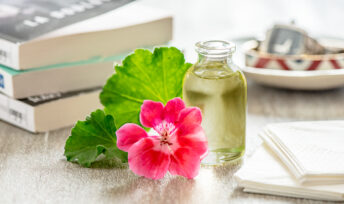 Anti moustiques naturel : l'huile essentielle de géranium - DR. Mon Quotidien Autrement - E. Montuclard