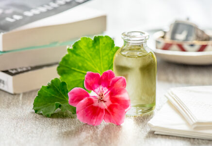 Notre anti-moustique naturel