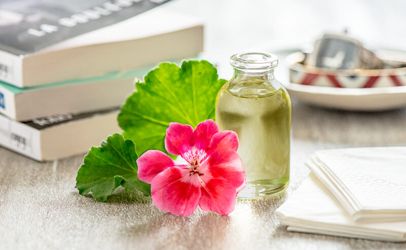 Anti moustiques naturel : l'huile essentielle de géranium - DR. Mon Quotidien Autrement - E. Montuclard
