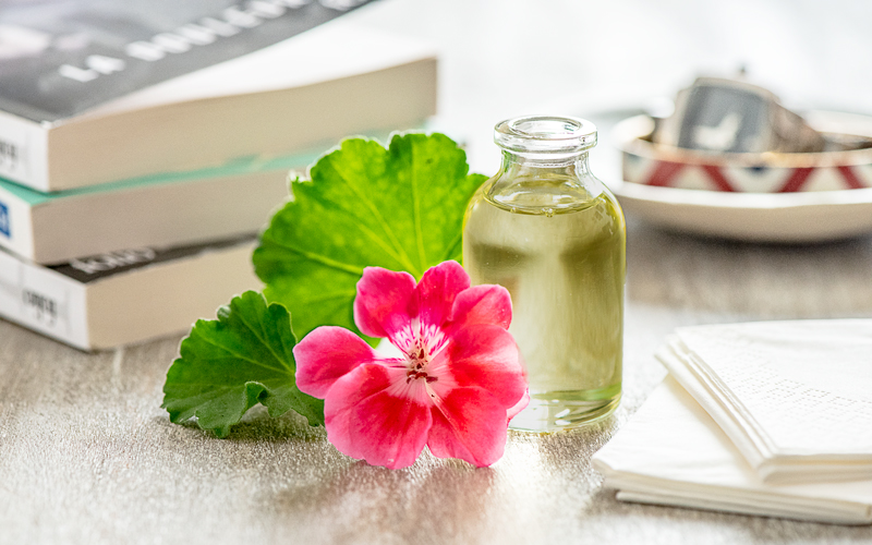 Anti moustiques naturel : l'huile essentielle de géranium - DR. Mon Quotidien Autrement - E. Montuclard