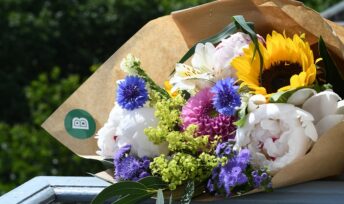 Des jolies fleurs d'été