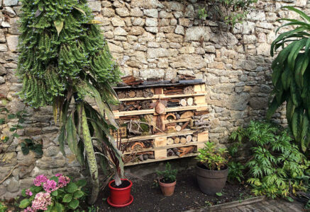 Hôtel à insectes, on s’y met ?