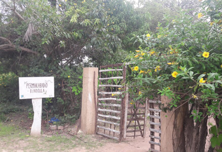 Permaculture, humanitaire et tourisme en Casamance