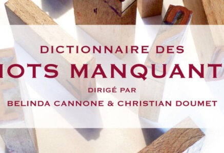 Le Dictionnaire des mots manquants