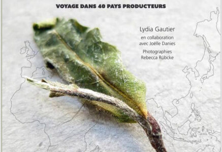 Portraits de thés, de Lydia Gautier