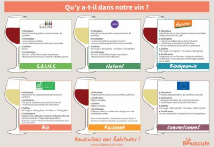 Notre guide des vins bios, raisonnés, labellisés, conventionnels …