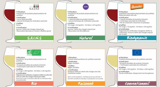 Quelles différences entre vins bio, raisonnés, natures ou conventionnels ?
